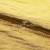 Текстильный материал "Диско"#1805 с покрытием РЕТ, 40гр/м2, 100% полиэстер, цв.5-золото - купить в Гатчине. Цена 412.36 руб.