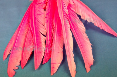 Декоративный Пучок из перьев, перо 25см/розовый - купить в Гатчине. Цена: 14.40 руб.