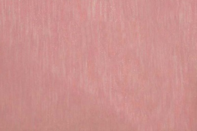 Органза однотонная "Амелия" С19 (Розовый) 280 см - купить в Гатчине. Цена 303.09 руб.