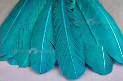 Декоративный Пучок из перьев, перо 24см/голубой - купить в Гатчине. Цена: 12.19 руб.