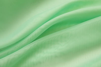 Портьерный капрон 13-6009, 47 гр/м2, шир.300см, цвет св.зелёный - купить в Гатчине. Цена 143.68 руб.