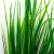 Трава искусственная -2, шт (осока 41см/8 см)				 - купить в Гатчине. Цена: 104.57 руб.