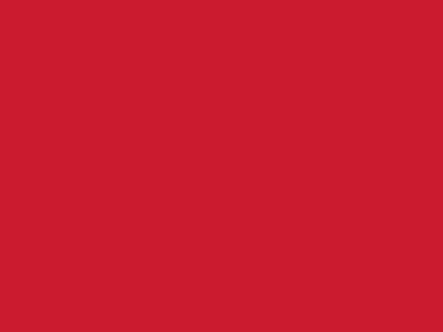 Сетка подкладочная красный, 60г/м2 (10 м/кг) - купить в Гатчине. Цена 885.73 руб.