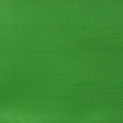 Ткань подкладочная Таффета 17-6153, 48 гр/м2, шир.150см, цвет трава - купить в Гатчине. Цена 54.64 руб.