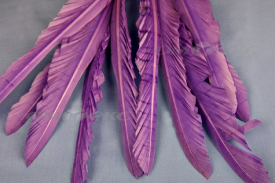 Декоративный Пучок из перьев, перо 25см/фиолетовый - купить в Гатчине. Цена: 12.19 руб.