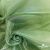 Ткань органза, 100% полиэстр, 28г/м2, шир. 150 см, цв. #27 зеленый - купить в Гатчине. Цена 86.24 руб.