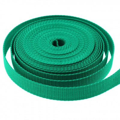 Стропа текстильная, шир. 25 мм (в нам. 50+/-1 ярд), цвет яр.зелёный - купить в Гатчине. Цена: 397.52 руб.