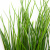 Трава искусственная -4, шт  (осока 50 см/8 см  7 листов)				 - купить в Гатчине. Цена: 130.73 руб.