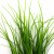 Трава искусственная -3, шт (осока 50 см/8 см  5 листов)				 - купить в Гатчине. Цена: 124.17 руб.
