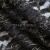 Кружевное полотно XD LACE 1-4, 80 гр/м2, шир.150см, цвет чёрный - купить в Гатчине. Цена 245.94 руб.